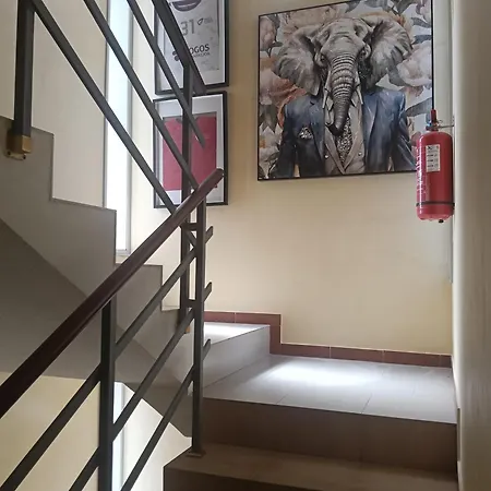 Sobreiro - Sobreiro - Hostel *
