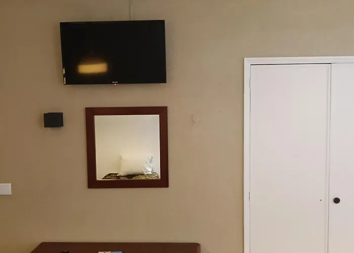 Sobreiro - Sobreiro -